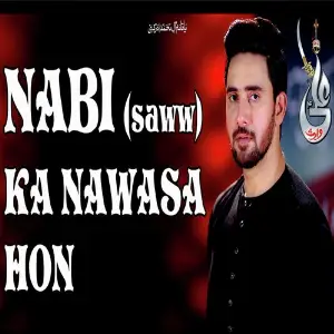 Nabi SAWW Ka Nawasa Hon image