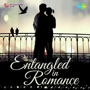 Entangled in Romance image