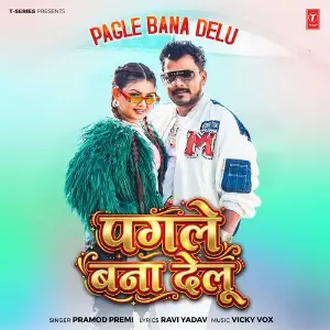 Pagle Bana Delu image