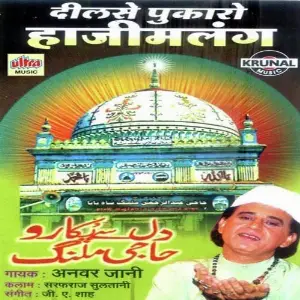 Dilse Pukaro Haji Malang image