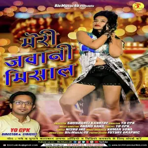 Meri Jawani Misaal image