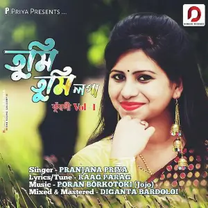 Tumi Tumi Loga image