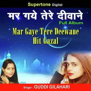 Mar Gaye Tere Deewane image
