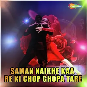 Saman Naikhe Kaa Re Ki Chop Ghopa Tare image
