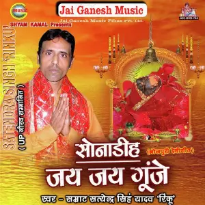 Sonadih Jai Jai Gunje image