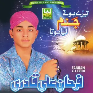 Tere Hote Janam Liya Hota image