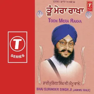 Toon Mera Rakha image