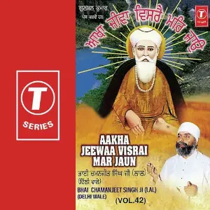 Aakha Jeewaa Visrai Mar Jaun (Vol. 42) image