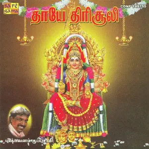 Thaaye Thirisooli - Pushpavanam Kuppuswam image