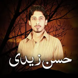 Hasan Zaidi image
