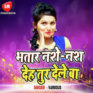 Bhatar Nase Nas Deh Toor Dele Ba image