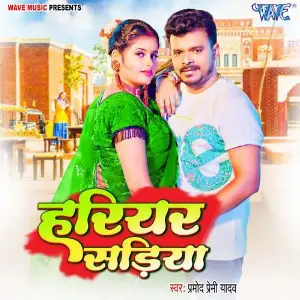 Hariyar Sariya image