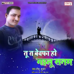 Tu Ta Bewafa Ho Gailu Sanam image