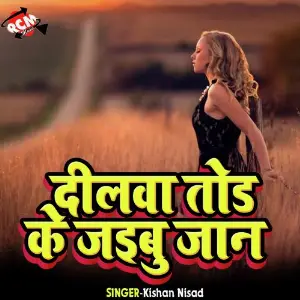 Dilwa Tor Ke Jaybu Kareja image