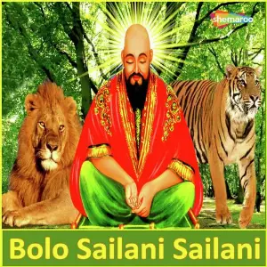 Bolo Sailani Sailani image