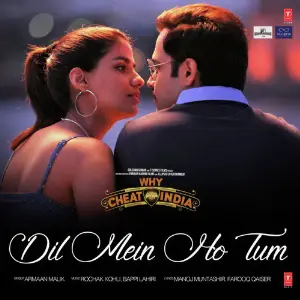 Dil Mein Ho Tum (From Why Cheat India) image