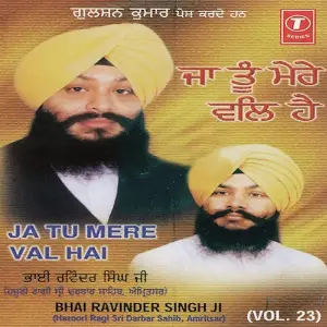 Ja Tu Mere Val Hai (Vol. 23) image