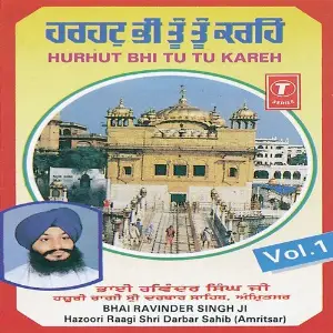 Hurhut Bhi Tu Tu Kareh image