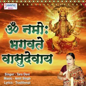 Om Namo Bhagavate Vasudevaya image