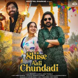 Shise Aali Chundadi image