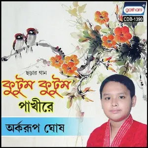Ktum Kutum Pakhi Re image