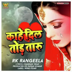 Kahe Dil Toda Taru RK Rangeela  WINS FILMS (Bhojpuri sad song) image