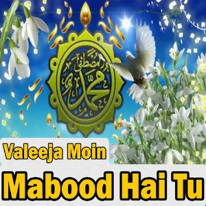 Mabood Hai Tu image