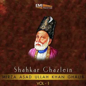 Shahkar Ghazlein, Vol. 1 image