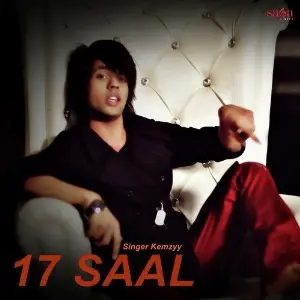 17 Saal image