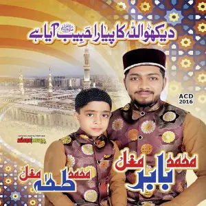 Dekho Allah Ka Pyara Habib Aya Hai image