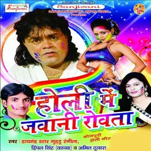 Holi Me Jawani Rowata image