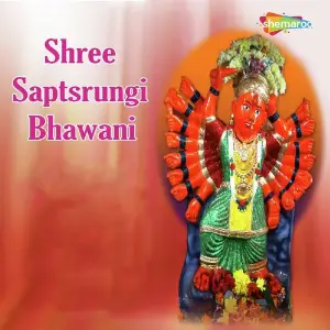 Shree Saptsrungi Bhawani image