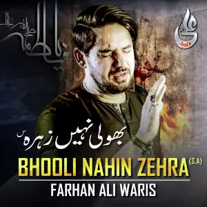 Bhooli Nahin Zehra - Single image