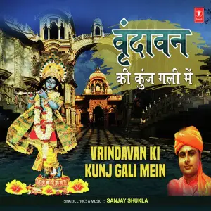 Vrindavan Ki Kunj Gali Mein image
