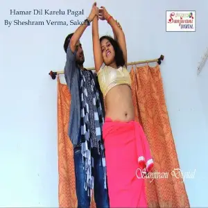 Hamar Dil Karelu Pagal image