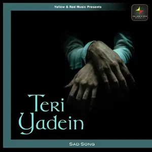 Teri Yadein image