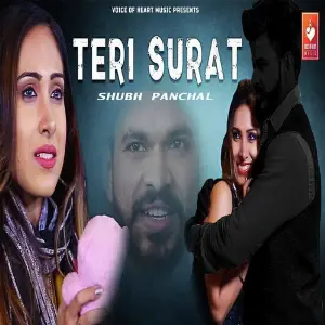 Teri Surat image
