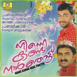 Ninne Kandanal Thottu image