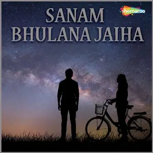 Sanam Bhulana Jaiha image