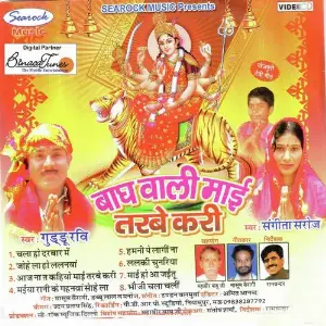 Baagh Waali Maai image