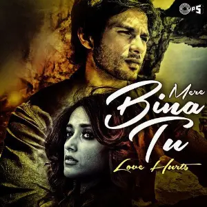 Mere Bina Tu - Love Hurts image