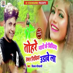 Tohare Mathe Ke Bidiya Hamar Nidiya Udave La image