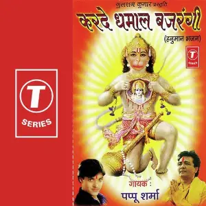 Karde Dhamaal Bajrangi image