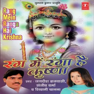 Rang Mein Ranga Hai Krishna image
