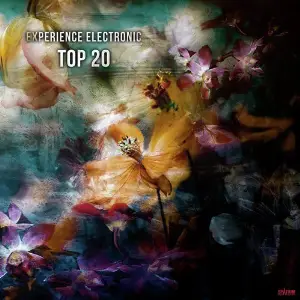 Experience Electronic Top 20 image