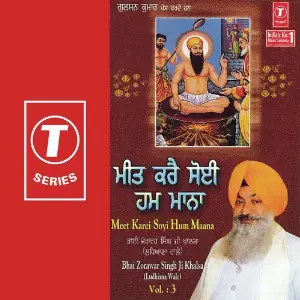 Meet Karei Soyi Hum Maana (Vol. 3) image
