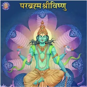 Parabrahma Sri Vishnu image