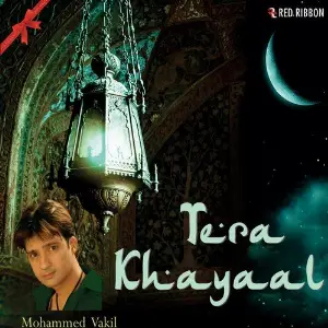 Tera Khayaal image