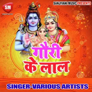 Gauri K Laal image
