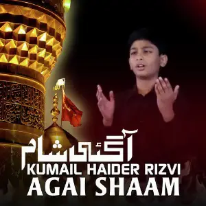 Agai Shaam image